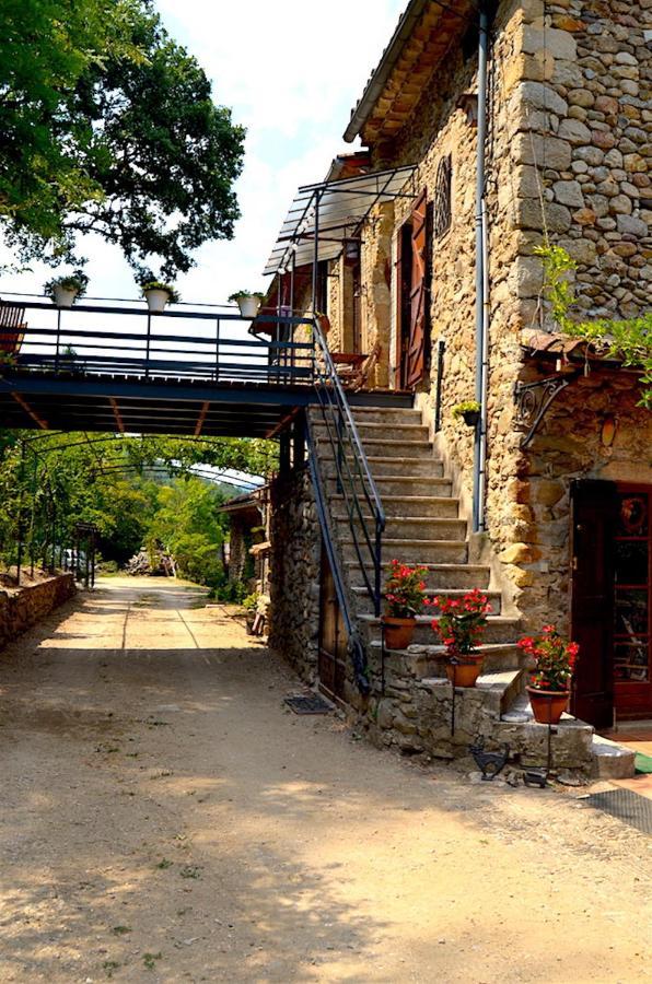 Appartamento Mas Mialou Saint-Jean-du-Gard Esterno foto