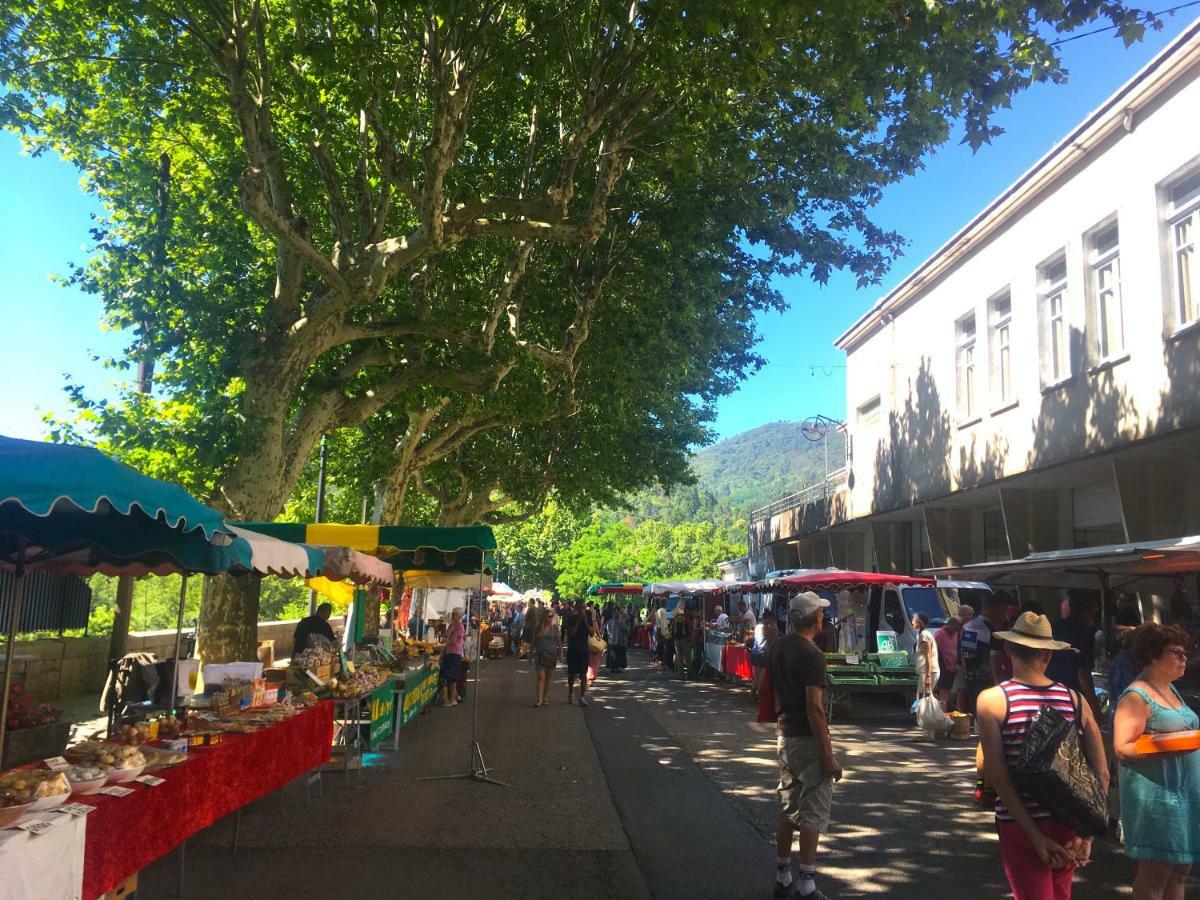 Appartamento Mas Mialou Saint-Jean-du-Gard Esterno foto