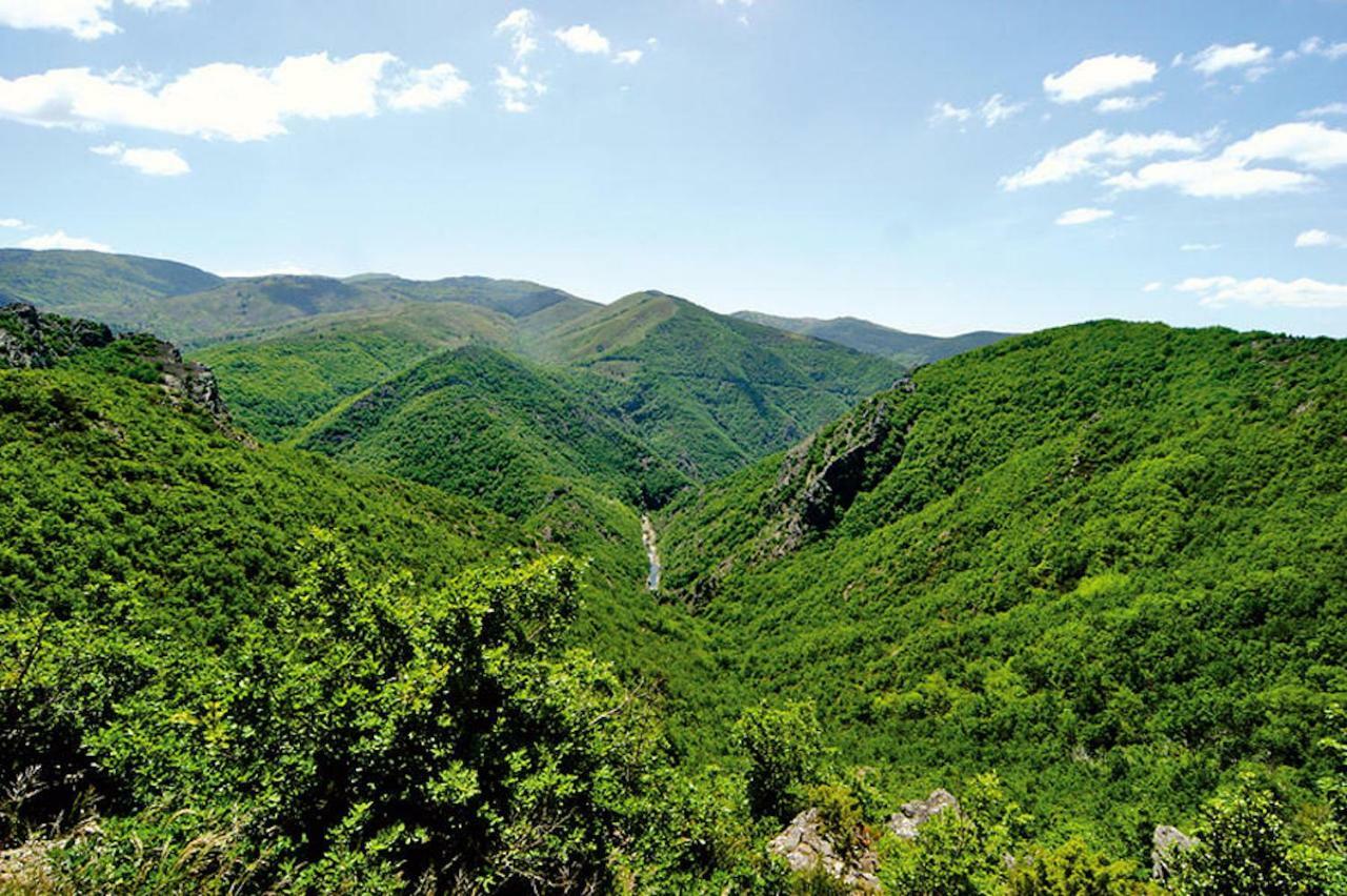 Appartamento Mas Mialou Saint-Jean-du-Gard Esterno foto